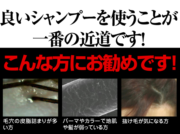 qVNlVv[ - C[W摜