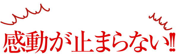 qVNlVv[ - C[W摜