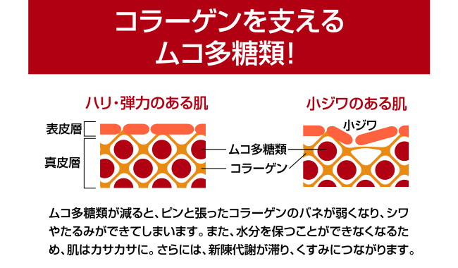 fB[vCpNg@f}oCuEX - C[W摜
