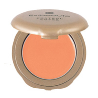 エクスボーテ コントロールカバー オレンジ